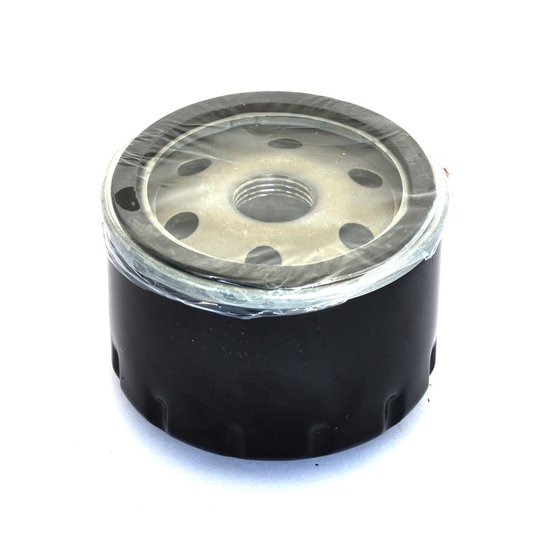 C 600 SPORT (2013 - 2015) oil filter | ATHENA