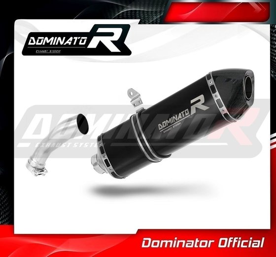 R 1200 GS ADVENTURE (2008 - 2009) exhaust silencer muffler hp7 black | Dominator