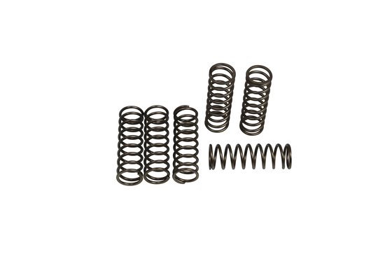 F 800 R (2005 - 2019) csk series heavy duty clutch spring kits | EBC