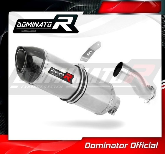 R 1200 GS ADVENTURE (2013 - 2018) exhaust silencer muffler hp1 | Dominator