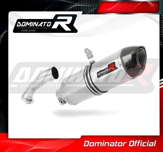 R 1200 GS ADVENTURE (2004 - 2007) exhaust silencer muffler hp1 | Dominator