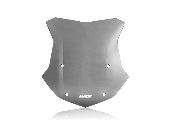 R 1250 GS (2019 - 2022) dark smoke windshield for bmw r1250gs | WRS