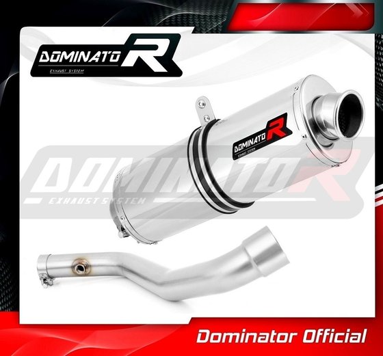 R 850 R (1970 - 2022) exhaust silencer oval | Dominator