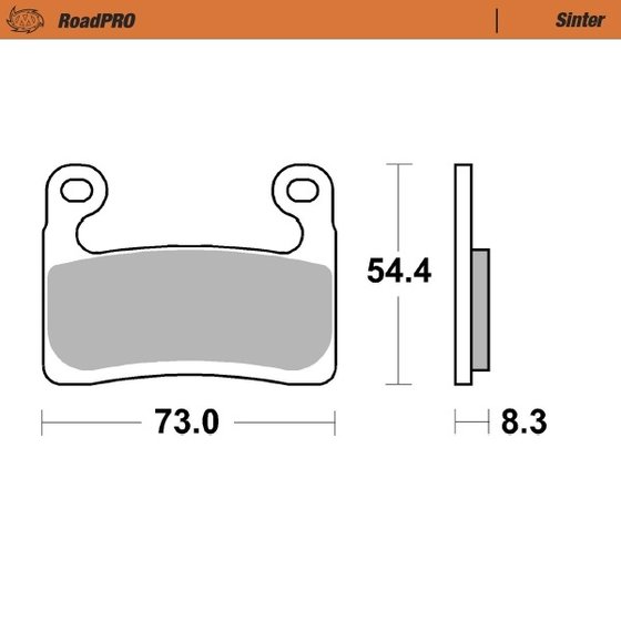 R 1250 GS (2019 - 2020) moto-master brakepads roadpro sinter front | MOTO-MASTER