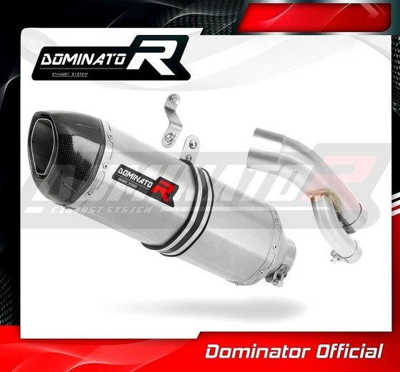 S 1000 RR (2017 - 2018) homologated exhaust silencer hp1 | Dominator