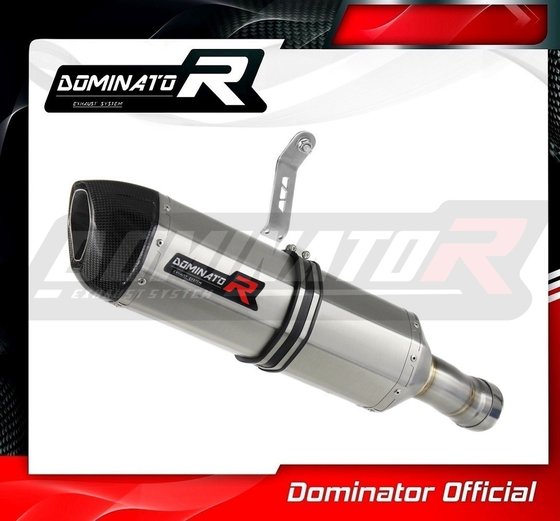 S 1000 RR (2009 - 2011) homologated exhaust silencer hp1 | Dominator