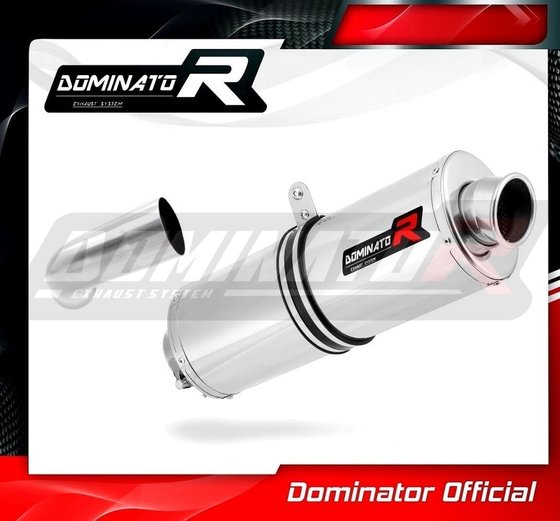 F 800 S (2006 - 2012) exhaust silencer muffler ov | Dominator