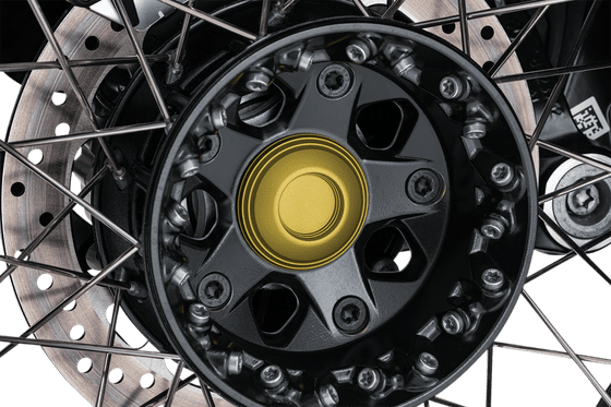 R 1200 R (2015 - 2018) sliders rear axle | KURYAKYN