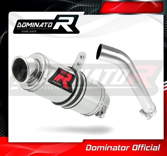 F 850 GS (2018 - 2020) exhaust silencer gp1 | Dominator