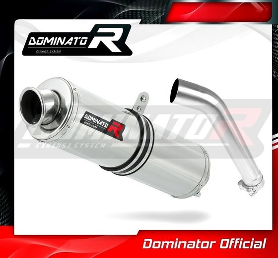 F 850 GS (2021 - 2022) exhaust silencer muffler st | Dominator