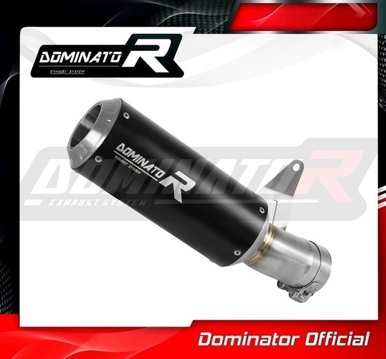 S 1000 R (2021 - 2022) exhaust silencer gp black | Dominator