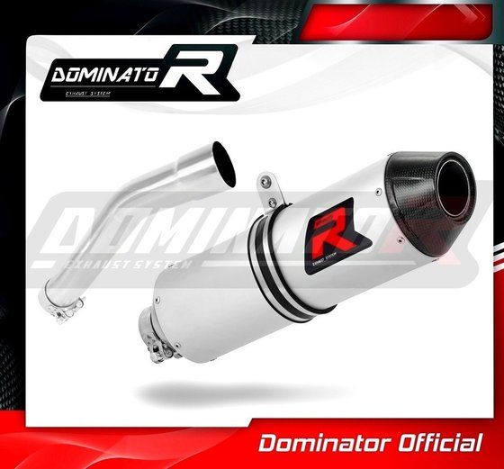 G 650 XCHALLENGE (1970 - 2022) exhaust silencer mx2 | Dominator