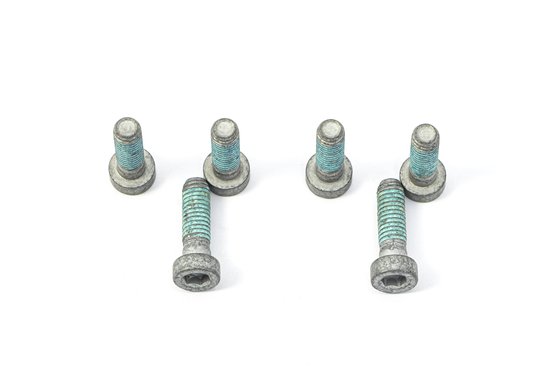 F 650 CS SCARVER (2002 - 2005) brake rotor bolt set | TRW