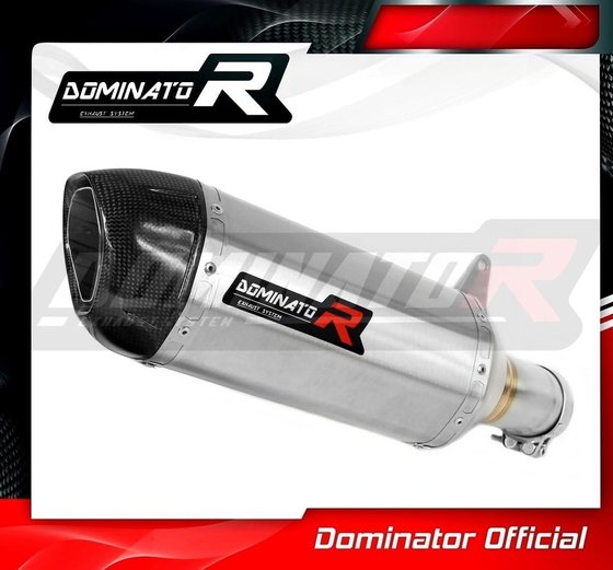 S 1000 RR (2019 - 2022) exhaust silencer muffler hp1 | Dominator