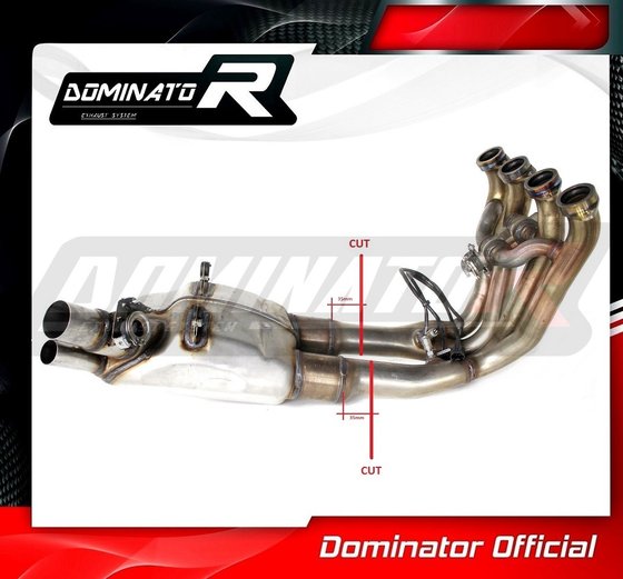 S 1000 RR (2017 - 2018) exhaust cat eliminator decat | Dominator