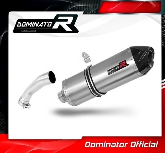 R 1200 GS ADVENTURE (2008 - 2009) exhaust silencer muffler hp7 | Dominator