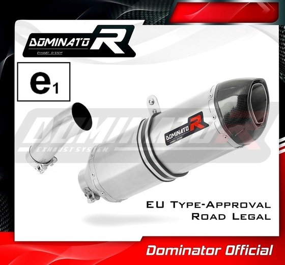 F 800 R (2009 - 2019) homologated exhaust silencer hp1 | Dominator