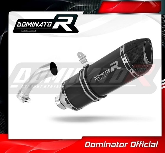 R 1200 GS ADVENTURE (2004 - 2007) exhaust silencer muffler hp1 black | Dominator