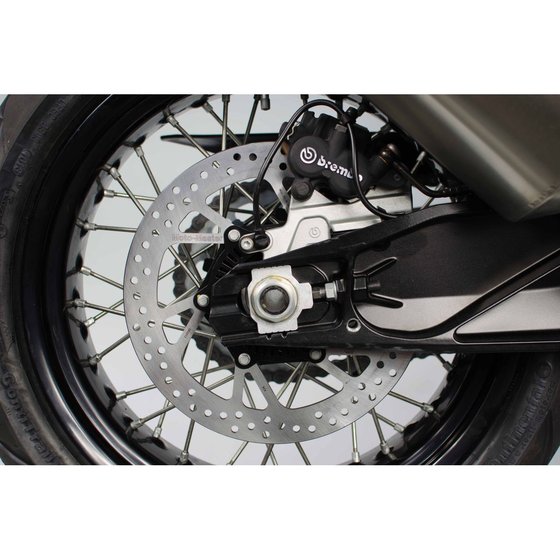 R NINET URBAN GS (2017 - 2022) halo rear brake disc | MOTO-MASTER