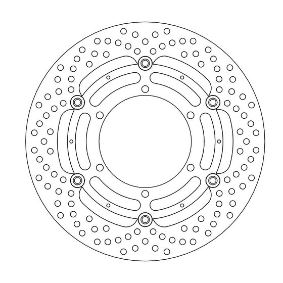 R 850 R (1995 - 2002) halo floating brake rotor | MOTO-MASTER