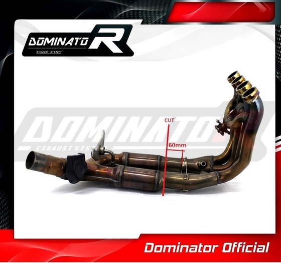 S 1000 RR (2015 - 2016) exhaust cat eliminator decat | Dominator