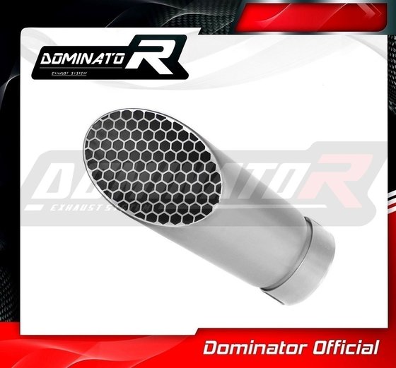 S 1000 RR (2012 - 2014) exhaust megaphone gp 3 | Dominator