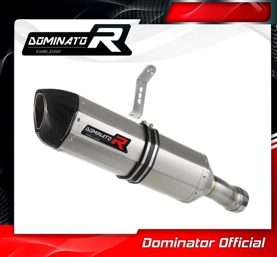 S 1000 RR (2012 - 2014) homologated exhaust silencer hp1 | Dominator