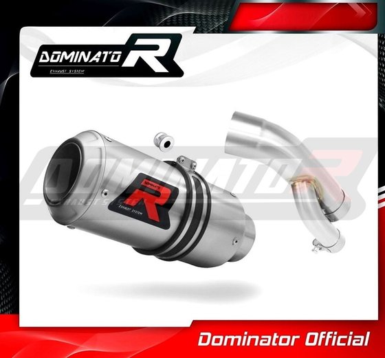 S 1000 R (2017 - 2020) exhaust silencer muffler gp | Dominator