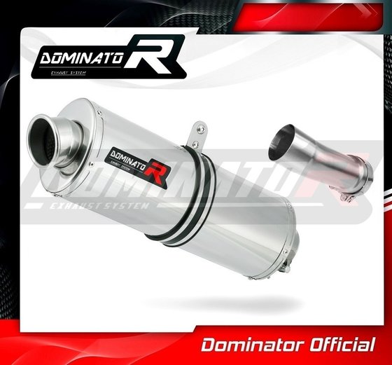 R 1200 RS (2015 - 2018) homologated exhaust silencer oval | Dominator