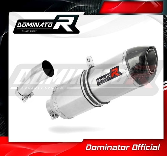 F 800 R (2009 - 2019) exhaust silencer muffler hp1 | Dominator