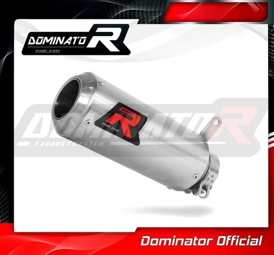 S 1000 RR (2012 - 2014) homologated exhaust silencer gp | Dominator