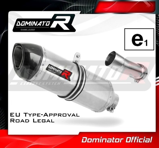 R 1250 RS (2019 - 2020) homologated exhaust silencer hp1 | Dominator