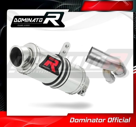 S 1000 XR (2015 - 2019) homologated exhaust silencer gp1 | Dominator