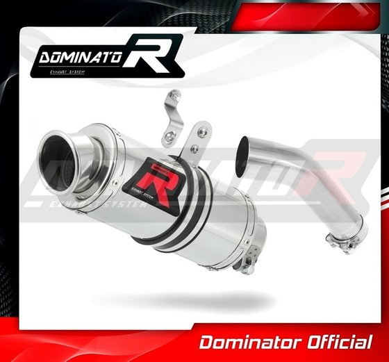 S 1000 RR (2015 - 2016) exhaust silencer muffler gp1 | Dominator