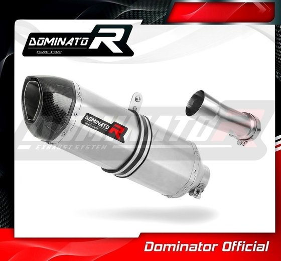 R 1200 RS (2015 - 2018) homologated exhaust silencer hp1 | Dominator