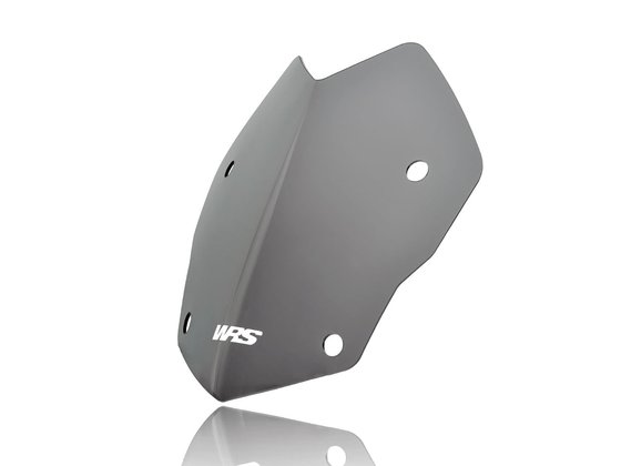 R 1250 GS ADVENTURE (2019 - 2020) rallye windshield for bmw r1250gs | WRS