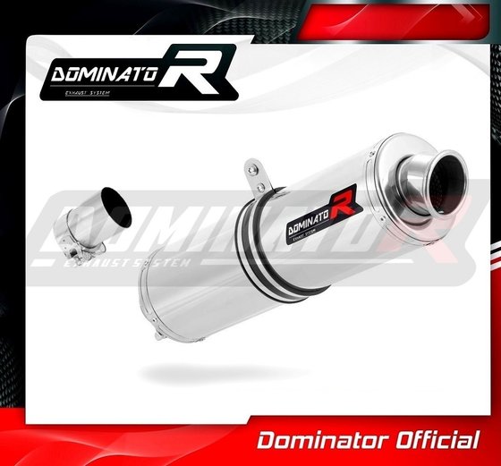 R 850 R (2004 - 2007) exhaust silencer round | Dominator