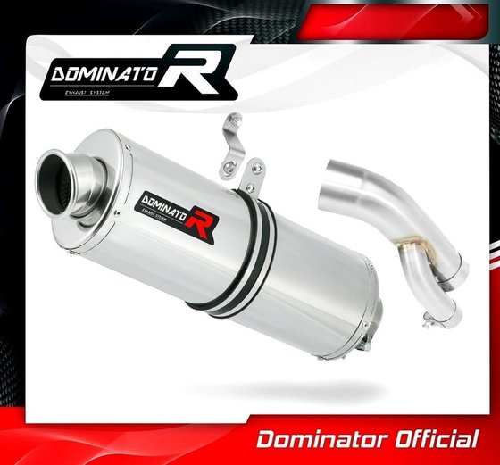 S 1000 RR (2017 - 2018) exhaust silencer muffler ov | Dominator