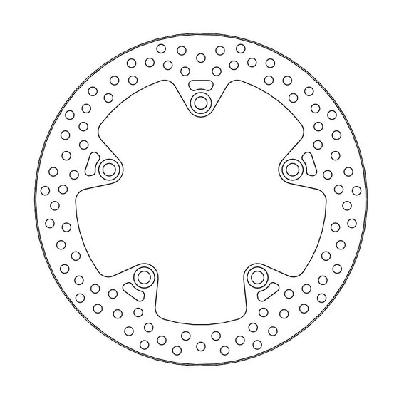 R 1200 GS (2004 - 2018) halo rear brake disc | MOTO-MASTER