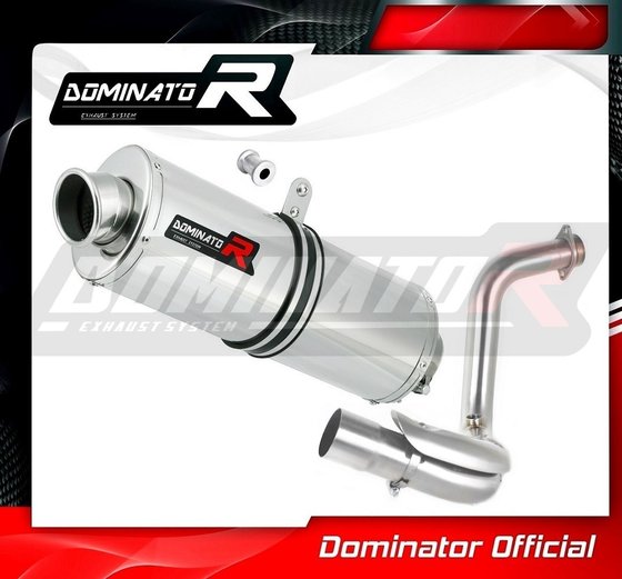 G 310 GS (2016 - 2022) exhaust silencer oval | Dominator