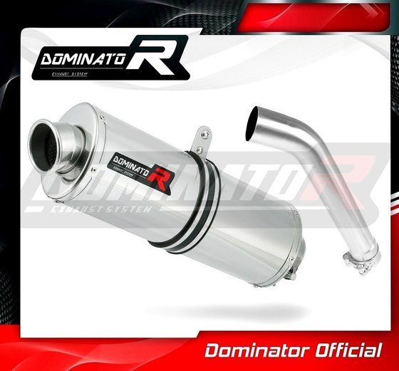 F 850 GS (2018 - 2020) homologated exhaust silencer oval | Dominator