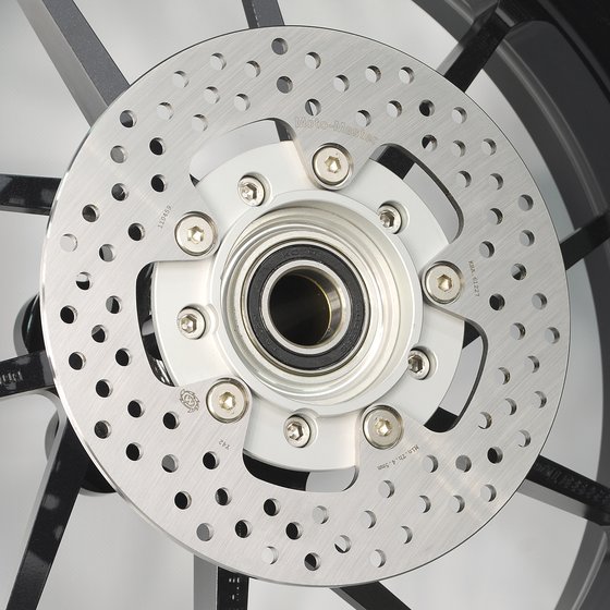 R 1250 GS (2019 - 2022) halo rear brake disc | MOTO-MASTER