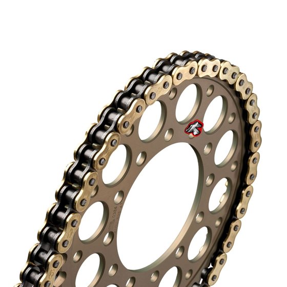 F 650 GS (2008 - 2011) r4 srs road chain 525x120 | RENTHAL