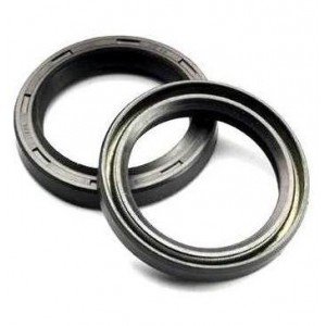 R 1200 GS (2003 - 2013) front suspension oil seals | ARIETE