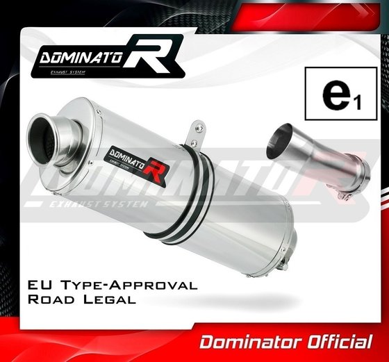 R 1250 R (2019 - 2020) homologated exhaust silencer oval | Dominator