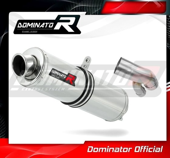 S 1000 XR (2015 - 2019) exhaust silencer muffler st | Dominator