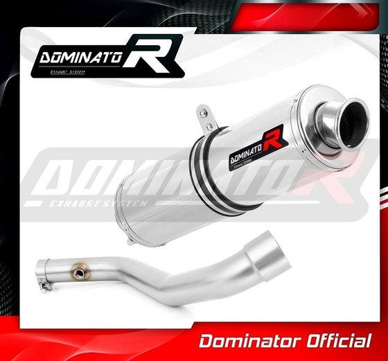 R 1100 RS (1970 - 2022) exhaust silencer round | Dominator