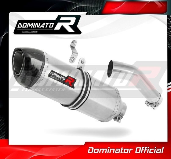 S 1000 RR (2015 - 2016) homologated exhaust silencer hp1 | Dominator