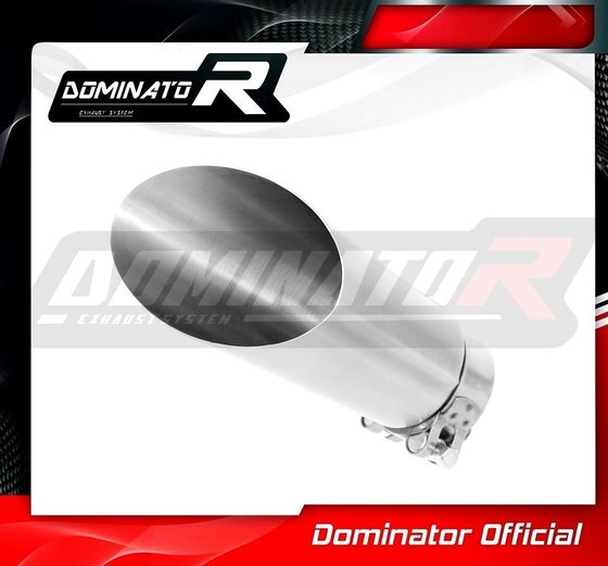 S 1000 RR (2015 - 2016) exhaust silencer gp 3 | Dominator