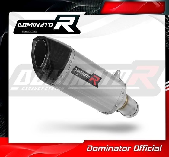 M 1000 RR (2021 - 2022) exhaust silencer hp6 | Dominator